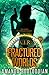 Fractured Worlds (AIR, #4)