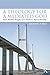 A Theology for a Mediated G...