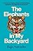 The Elephants in My Backyar...