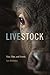 Livestock Food, Fiber, and Friends by Erin McKenna