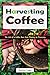 Harvesting Coffee: The Life of a Coffee Bean from Planting to Processing