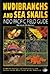 Nudibranchs and Sea Snails:...