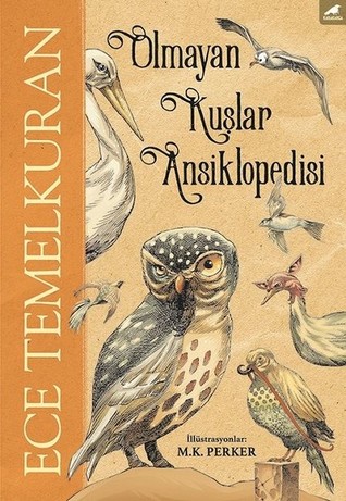 Olmayan Kuşlar Ansiklopedisi (Paperback)
