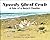 Speedy Ghost Crab, A Tale o...