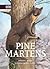Pine Martens Vol 8