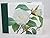 Redoute White Flowers: Gues...
