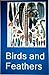 Birds and Feathers