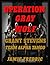 Operation Gray Wolf (Grant Stevens #14)