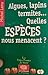 Algues, lapins, termites... Quelles espèces nous menacent? by Michel Lamy