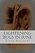 Lightening Bugs in June