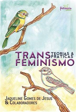 Transfeminismo: teorias e práticas (Paperback)