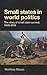 Small states in world politics: The story of small state survival, 1648-2016