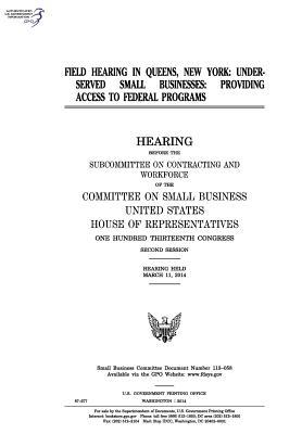 Field Hearing in Queens, New York: Underserved Small Businesses: Providing Access to Federal Programs, Hearing Before the Subcommittee on Contracting and Workforce of the Committee on Small Business, United States House of Representatives, One Hundred T