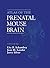 Atlas of the Prenatal Mouse...