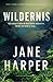 Wildernis (Aaron Falk, #2)