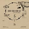CO CO CO U