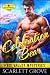 Celebration Bear (Fate Valley Mysteries, #3)