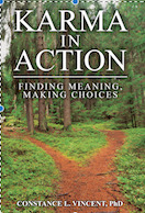 Karma in Action: Finding Meaning, Making Choices