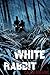 White Rabbit