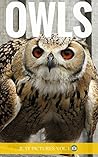 Owls: Just Pictur...