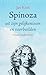 Spinoza: uit zijn gelijkenissen en voorbeelden