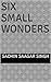 Six Small Wonders