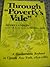 Through "Poverty's Vale": A Hardscrabble Boyhood in Upstate New York, 1832-1862 (New York State Series)