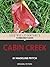 Cabin Creek by Madeline Ffitch