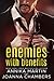 Enemies with Benefits (Enemies with Benefits, #0.5)