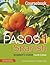 Pasos 1 Spanish Beginner's Coursebook: Coursebook