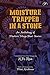 Moisture Trapped in a Stone: An Anthology of Modern Telugu Short Stories