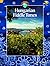 HUNGARIAN FIDDLE TUNES VIOL...