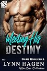 Meeting His Destiny by Lynn Hagen
