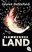 Flammendes Land (Die Chroniken der Fallenden Stadt 2) (German Edition)
