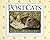 PostCats