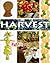 Harvest by Clare Chandler