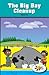 The Big Bay Cleanup (Rosen ...