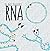 The Baby Biochemist: RNA