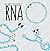 The Baby Biochemist: RNA