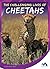 The Challenging Lives of Cheetahs (Stories from the Wild Animal Kingdom)