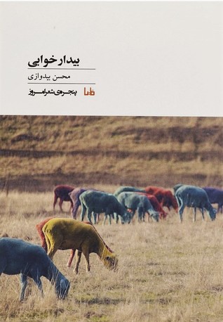بیدارخوابی (Paperback)