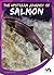 The Upstream Journey of Salmon (Stories from the Wild Animal Kingdom)