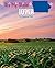 Iowa