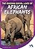 The Amazing Social Lives of African Elephants (Stories from the Wild Animal Kingdom)