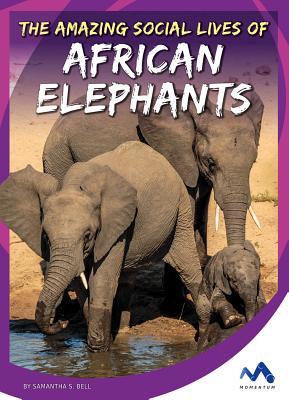 The Amazing Social Lives of African Elephants (Stories from the Wild Animal Kingdom)