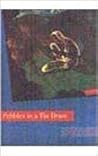Pebbles in a Tin Drum - An Autobiography