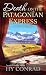 Death on the Patagonian Express (An Amy's Travel Mystery)