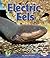 Electric Eels (Early Bird N...
