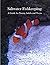Saltwater Fishkeeping: A Gu...