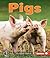 Pigs (First Step Nonfiction: Farm Animals)